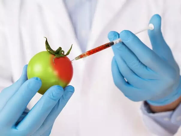 Thực phẩm biến đổi gen an toàn để sử dụng ?