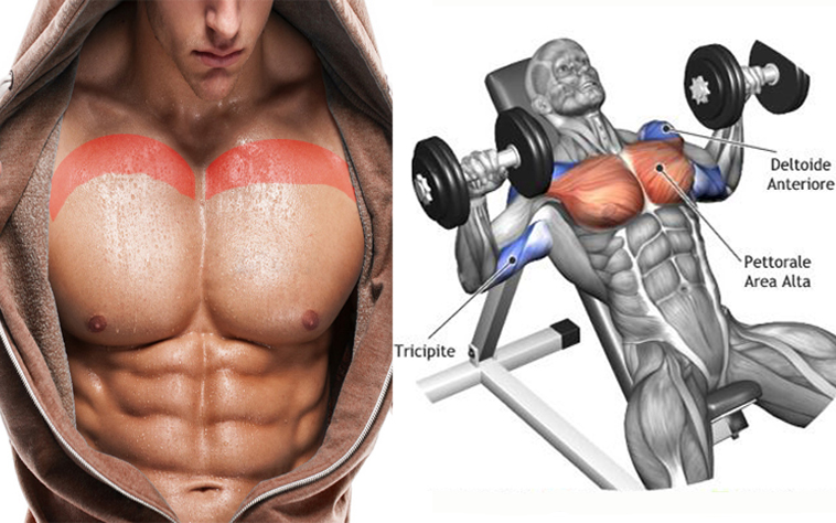 Top 5 các bài tập cơ ngực tốt nhất chuyên dành cho nam giới